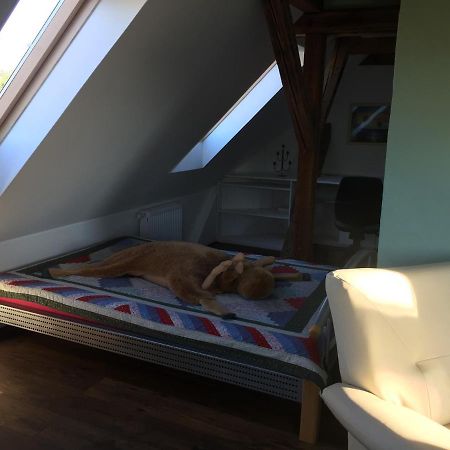 Ferienwohnung Schulze Freital Ngoại thất bức ảnh