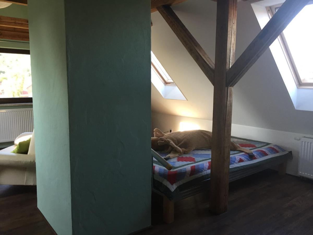 Ferienwohnung Schulze Freital Ngoại thất bức ảnh