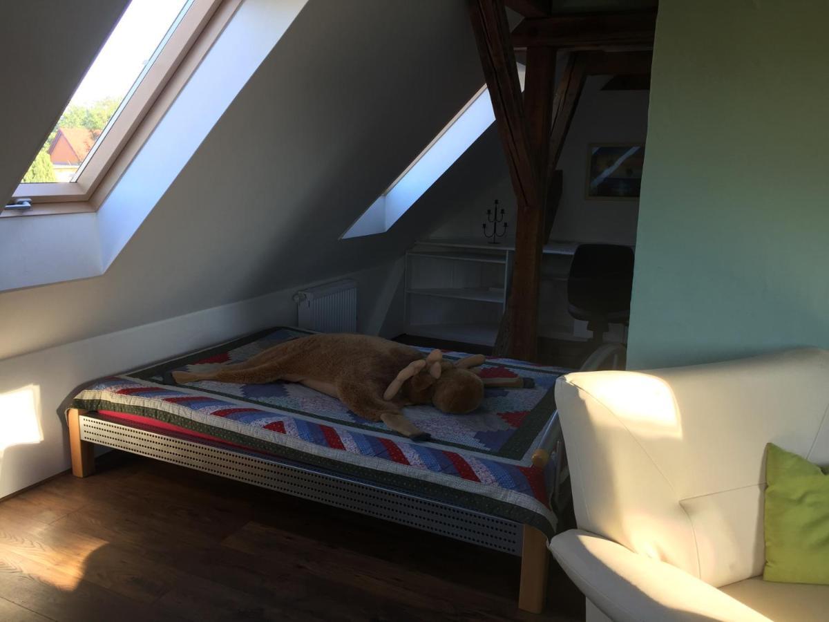 Ferienwohnung Schulze Freital Ngoại thất bức ảnh
